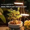 Grow Lights 300W Light Full Spectrum Phyto Lamp USB Phytolamp For Plants 5V Growth Lighting Indoor Plant