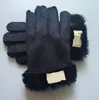 2021 New Brand Design Faux Fur Style Glove for Women Winter Outdoor Warm Five Fingers Artificial Leather Gloves Wholesale 33