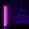 2021 Lampada da terra ad angolo Nordic RGB Lampada da terra moderna semplice con asta a LED per soggiorno Camera da letto Atmosfera Lampada da terra Luce da interno