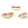 Fausses Dents Halloween Party Prank Jouets Simulation Rotten Zombie Dent Drôle Tricky Faux Vampire Dentier Mascarade Cosplay Trick Props Spoof Toy Décoration Blague