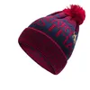 50%off 6 Colors Autumn Knitted Beanie Warm Skull Caps Woolen Hat Christmas Men and Women Earmuff Head Hats 9303 300pcs