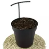 Autres fournitures de jardin support de plante treillis support de bricolage pour le jardinage planter la plupart des plantes touffues, telles que les roses, la pivoine