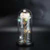 Fashion Gold Foil Rose Glass Cover Decorative Flowers LED Light Simulation Color Gold 24K Valentine's Day Gift Decoration