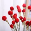 15pcs/Lot Strawberry Fruit Decorative Dried Flowers Artificial Bonding Non Simulated Flower Drawing Room Home Furnishing Decorate Blossom 6 89wx T2