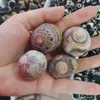 1pcs/lot natural gemstone rare and rare Sengoku red natural agate with eyes jewelry Ornaments Collection 4 styles mystery unique H1015