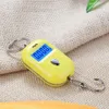 New 25Kg x 5g Digital Hanging Scale Mini Electronic Luggage Hook Scale LCD Backlight Kitchen Steelyard