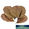 Grau Um Terminalia Natural Catappa Foetida Deixe Ilha Almond Leaf Crystal Camarão Limpeza / Tratamento Qualidade da água 10 Pçs / saco