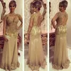 Sexy Champagne Gold Mother of the Bride Dresses Lace Appliques Beads Long Sleeves Hollow Back Floor Length Plus Size Celebrity Evening Gowns