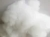 Quadrado branco pêssego tecido almofada inserção decorativo almofadas pp algodão enchimento 450g para 45x45cm 380grams 30x50cm vender por peça 210611