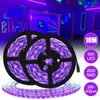 Strips 2 In 1 DC12V 10M UV Ultraviolet 395-405nm Led Strip Black Light 2835 SMD 60led/m Waterproof Tape Lamp For DJ Fluorescence Party