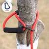 2 m / 3m / 5m / 10m verlengen huisdier leiband touw outdoor wandelen en trainen hond leibanden riem nylon honden leiden veiligheid voor kleine grote honden 210712