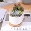 Ensemble de plantes succulentes en céramique blanche minimaliste, jardinière en porcelaine, décoration de bureau à domicile, cadeau de noël, 1 pot, 1 plateau, Y200709