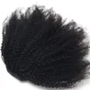 Wrap Cordon Mongol Vierge Extensions de Cheveux Humains Queue de Cheval Postiche 4b 4c Afro Crépus Bouclés Top Fermeture Clip Ins queue de cheval Afro-Américain Noir Femmes 120g