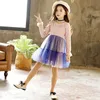 Süße Mädchen rosa Kleid Herbst Winter Neue Mode bestickte blumblaue Tutu Kinder Kleidung Best Party Kindermädchen Kleid Q0716