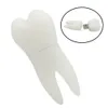 Real Capacity Tooth Shape USB Flash Drives 8GB 16GB 32GB 64GB Teeth Pen Drive 128GB USB2.0 Memory Stick