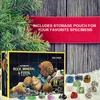 Подарочная упаковка Rocks Heress Box Calendaring Calendar Boxs предоставляет детской высококачественную образовательную игрушку подходящую Navidad 2022