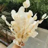 110g / 20-35cm, natural de eucalipto preservado deixa buquê, exibição eterna organizar flores para casamento decoração de casa acessórios 210317