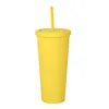 22OZ TUMBLERS Matte Colored Acrylic Tumbler with Lids and Straws Double Wall Plastic Reusable Cup WLL838