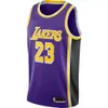 Nouveau 2021 LeBron James Purple Jersey Cousu Hommes Femmes Jeunesse Basketball Maillots Taille XS-6XL