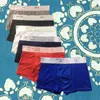 6 Couleurs Haute Qualité Hommes Sous-Vêtements Boxers Confortable Coton Sexy Hommes Slip Shorts Designer Lettre Imprimer Garçons Boxershorts