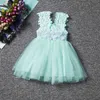 Lato Piękny Kwiat Baby Girl Dress Princess Pageant Lace Tulle Little Girls Specjalne okazje sukienki