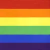 Groothandel 90 * 150 cm Driehoek Regenboog Vlaggen Banner Polyester Metalen Grommets LGBT Gay Rainbow Progress Pride Flag Decoration KKF5319