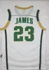 2021 Heren Jersey James St. Vincent Mary High School Irish 23 Stitched Basketball Jerseys Shirts