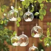 10 Uds. Florero de cristal colgante transparente con forma de globo, decoración transparente, flores, plantas, espectáculos de jardín y hogar