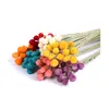 15pcs / lot fraise fruits décoratifs fleurs séchées liaison artificielle fleur non simulée salon ameublement décorer fleur 6 89wx T2