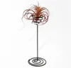 Atacado decorações de jardim ar plantar suporte de ferro preto flor espiral flor contêiner Tillandsia Daw99