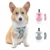 Bell Bow Vest Tipo Imbracatura pettorale universale Forniture per catene Guinzaglio per gatti da passeggio per cani Animali domestici di taglia piccola e media