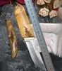 1 pcs Nuovo Damasco Sopravvivenza Damasco Knife dritta 75 strati VG10 Damasco Drop Drop Point Ombra maniglia in legno con guaina in legno