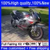 Kroppsarbete för Aprilia RV60 RSV 1000 R 1000R RSV1000R Mille 03-06 Body 9No.96 RSV1000RR 2003 2004 2005 RSV1000 RSV-1000 R RR 03 04 05 06 MOTO FAIRING KIT Silvery Gray