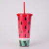24 oz vattenmelon tumbler plast dubbel vägg sommarfest juice dryck kopp med strån utomhus sport camping vattenflaskor