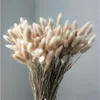 50個100個のPCS自然の乾燥花ブーケ結婚式の家イースターの装飾のウサギの尾の草ラグラスの卵子の実物の花KKF5113