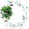 Smart Home Control Xiaomi HHCC Flora Monitor Giardino Cura dei fiori Max Pianta Erba Suolo Acqua Fertilità Tester Sensore Rilevatore di giardinaggio