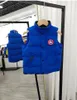 Baby Weste Jungen Jacken Mädchen Mäntel Klassische Brief Weste Daunen Kleidung Baby Teen Kleidung Oberbekleidung Kinder Kleidung Mantel Jacke