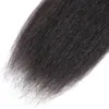 Wefts Mink 브라질 Kinky Straight Hair Bundles 100% 가공되지 않은 브라질 야키 인간 머리 확장 브라질 Kinky Straight Hair Bun