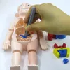 Kid Montessori 3D Puzzel Menselijk Lichaam Anatomie Model Educatief Leren Orgel Gemonteerd Speelgoed Body Organ Lesmateriaal voor kinderen