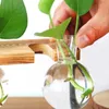Drop Terrarium Creative Plante hydroponique Vase transparent Cadre en bois Décoration Verre Table Plante Bonsai Décor 210623