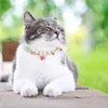 Cat -kragen leidt Pet Star Necklace Hondenhals Neur Ornament Bell Collar Pearl Cats Goods Accessoires