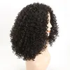 16インチアフロキンキーカーリー合成ウィッグシミュレーション人間の髪のかつら茶色の色Perruques de Cheveux Hamp's WL9192-T30 / 33＃