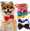 Huisdier ketting ketting stropdas honden verstelbare riem voor kat kraaghonden accessoires pet dog bow tie puppy booge booge hondenbenodigdheden