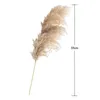 Decorative Flowers & Wreaths 5pcs Nordic Reed Dried Natural Fluffy Feather Plants For Home Wedding Party Decoration 55cm Y8g1