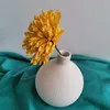Северное украшение Белый вегетарианский керамический цветочный горшок арт домашний офис вазы