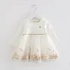 Baby meisjes kleding pasgeboren baby doop jurk voor meisjes kleding bloemen borduurwerk verjaardag durende jurken 0-2t Q0716