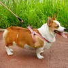 亜麻犬のハーネスとリアーズの歩みのセットプル容易なフィットの調節可能なペットハーネス歩くことや訓練のための快適なソリッドハーネス
