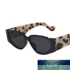 Solglasögon kattögon kvinnlig manlig mode design plast mönster solglasögon män eyewear notch liten ram kvinnor 2021