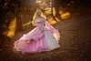 Gothic Dornröschen Prinzessin Mittelalterliches rosa und goldenes Hochzeitskleid Langarm Spitzenapplikationen viktorianisches Maskerade-Brautkleid