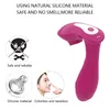 Electric Massagers Wearable Sucking Massager For Women Pleasures With Remote Control 10 Modes Suctions Rechargeable Waterproof Vibrating Mac